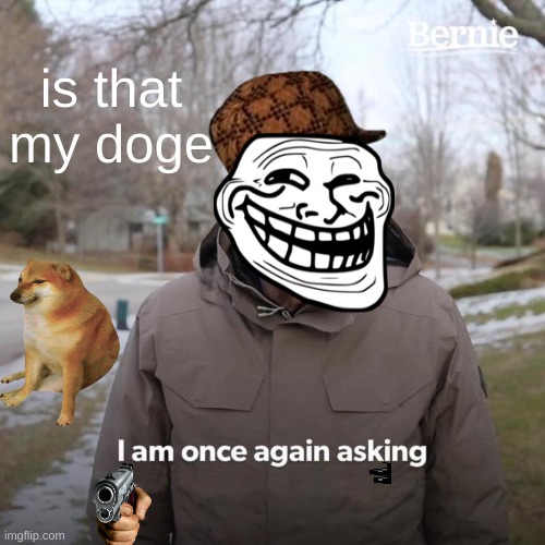 grandpa | is that my doge | image tagged in memes,bernie i am once again asking for your support | made w/ Imgflip meme maker