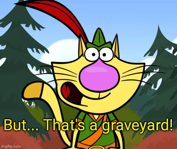 No Way!! (Nature Cat) | But... That's a graveyard! | image tagged in no way nature cat | made w/ Imgflip meme maker