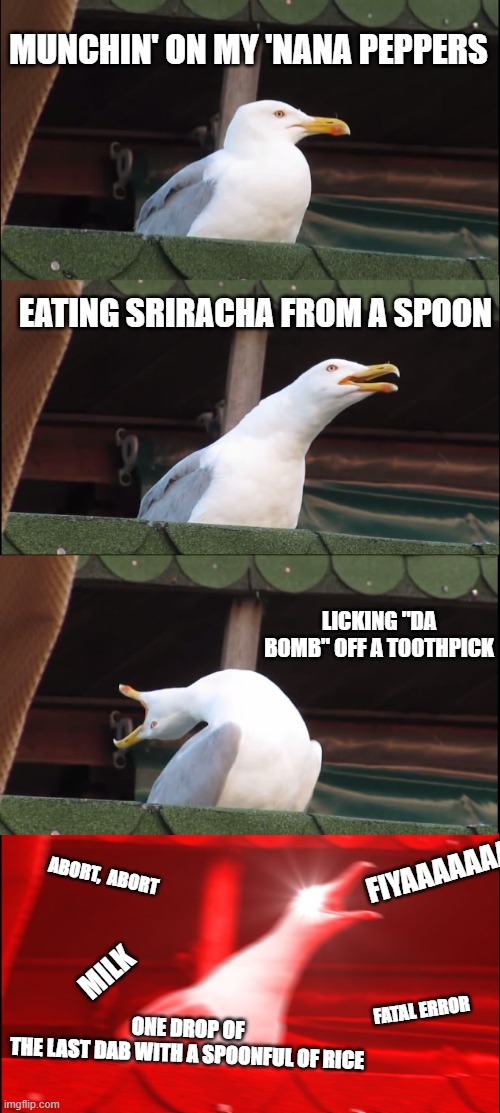 Poor Bird | MUNCHIN' ON MY 'NANA PEPPERS; EATING SRIRACHA FROM A SPOON; LICKING "DA BOMB" OFF A TOOTHPICK; FIYAAAAAAA; ABORT,  ABORT; ONE DROP OF THE LAST DAB WITH A SPOONFUL OF RICE; MILK; FATAL ERROR | image tagged in memes,inhaling seagull,funny,sriracha,hot sauce | made w/ Imgflip meme maker