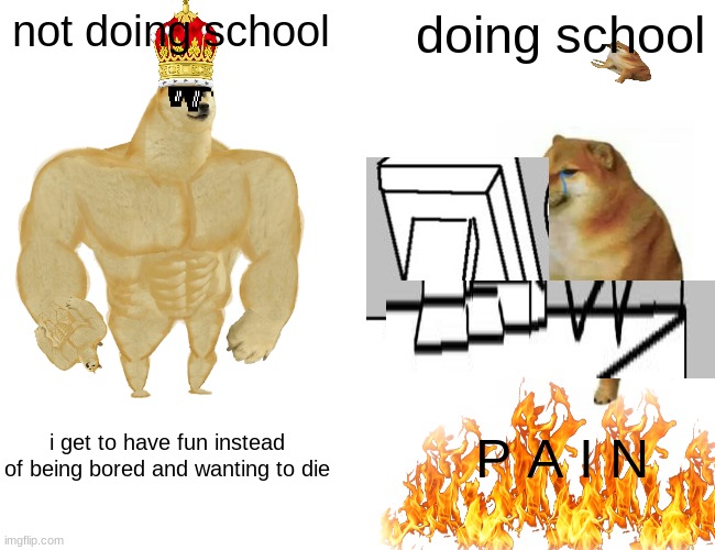 same | not doing school; doing school; i get to have fun instead of being bored and wanting to die; P A I N | image tagged in memes,buff doge vs cheems,funny memes | made w/ Imgflip meme maker