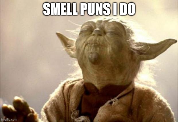 yoda smell | SMELL PUNS I DO | image tagged in yoda smell | made w/ Imgflip meme maker