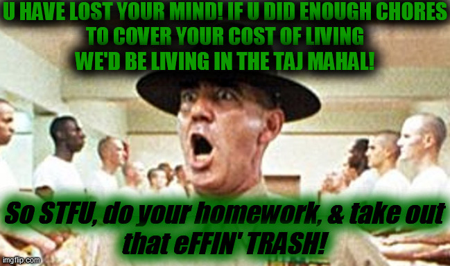 Full Metal Jacket USMC Drill Sergeant R Lee Ermey Cropped | U HAVE LOST YOUR MIND! IF U DID ENOUGH CHORES
TO COVER YOUR COST OF LIVING
WE'D BE LIVING IN THE TAJ MAHAL! So STFU, do your homework, & tak | image tagged in full metal jacket usmc drill sergeant r lee ermey cropped | made w/ Imgflip meme maker