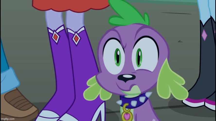 Mlp equestria girls spike da fuk | image tagged in mlp equestria girls spike da fuk | made w/ Imgflip meme maker