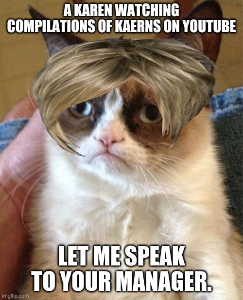 Grumpy Cat Meme | A KAREN WATCHING COMPILATIONS OF KAERNS ON YOUTUBE; LET ME SPEAK TO YOUR MANAGER. | image tagged in memes,grumpy cat | made w/ Imgflip meme maker