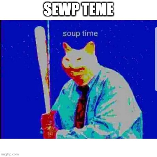 Soup Time Cat | SEWP TEME | image tagged in soup time cat | made w/ Imgflip meme maker