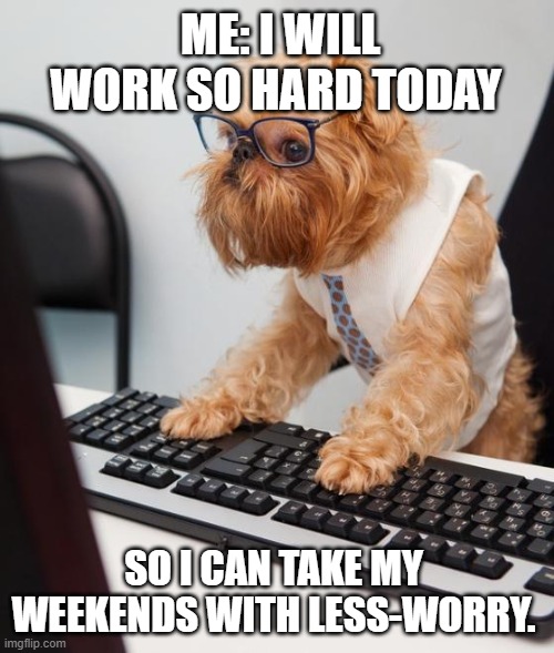 Hump Day | ME: I WILL WORK SO HARD TODAY; SO I CAN TAKE MY WEEKENDS WITH LESS-WORRY. | image tagged in work dog | made w/ Imgflip meme maker