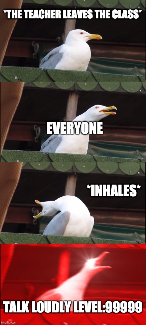 Inhaling Seagull Meme | *THE TEACHER LEAVES THE CLASS*; EVERYONE; *INHALES*; TALK LOUDLY LEVEL:99999 | image tagged in memes,inhaling seagull | made w/ Imgflip meme maker