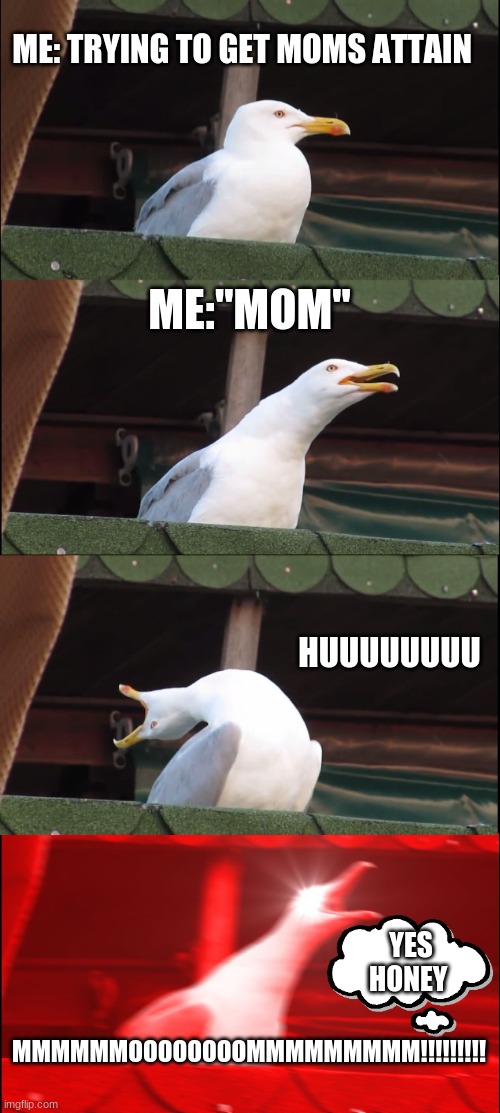 Inhaling Seagull | ME: TRYING TO GET MOMS ATTAIN; ME:"MOM"; HUUUUUUUU; YES HONEY; MMMMMMOOOOOOOOMMMMMMMMM!!!!!!!!! | image tagged in memes,inhaling seagull | made w/ Imgflip meme maker