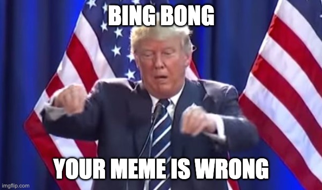 Bing Bong Donald Trump | BING BONG YOUR MEME IS WRONG | image tagged in bing bong donald trump | made w/ Imgflip meme maker