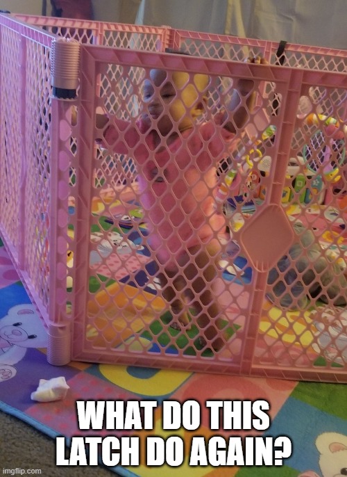 Let me out of here | WHAT DO THIS LATCH DO AGAIN? | image tagged in escape,latch,baby,playpen,freedom | made w/ Imgflip meme maker