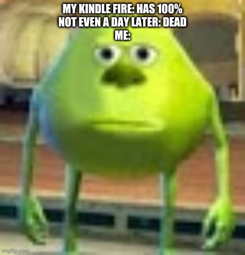 Sully Wazowski | MY KINDLE FIRE: HAS 100%
NOT EVEN A DAY LATER: DEAD
ME: | image tagged in sully wazowski | made w/ Imgflip meme maker