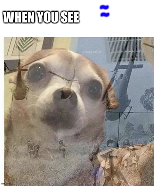 Oh god... | ~; ~; WHEN YOU SEE | image tagged in ptsd chihuahua | made w/ Imgflip meme maker