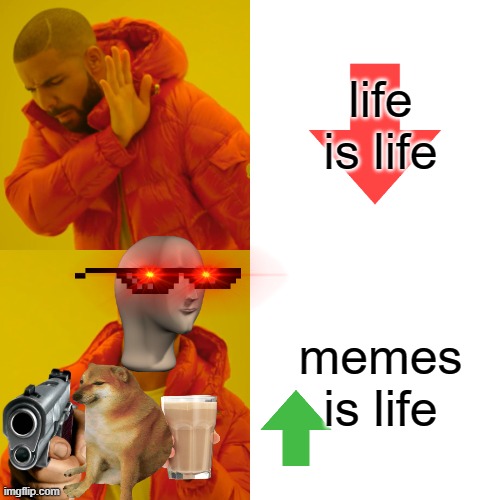 Drake Hotline Bling Meme | life is life memes is life | image tagged in memes,drake hotline bling | made w/ Imgflip meme maker