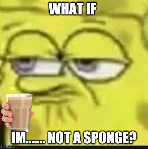 WHAT IF IM....... NOT A SPONGE? | made w/ Imgflip meme maker