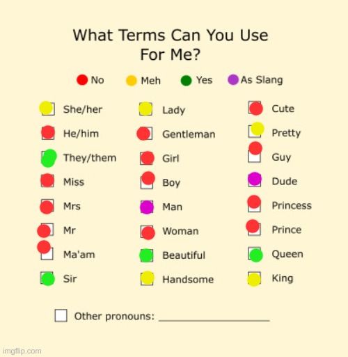 Pronouns Sheet | image tagged in pronouns sheet | made w/ Imgflip meme maker