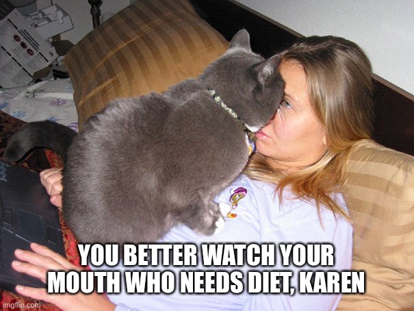 You mean im fat?? | YOU BETTER WATCH YOUR MOUTH WHO NEEDS DIET, KAREN | image tagged in aggressive cat,fat,pandemic,cat,karen,nutella | made w/ Imgflip meme maker