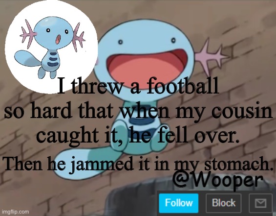 I think some of my organs are destroyed | I threw a football so hard that when my cousin caught it, he fell over. Then he jammed it in my stomach. | image tagged in wooper template | made w/ Imgflip meme maker