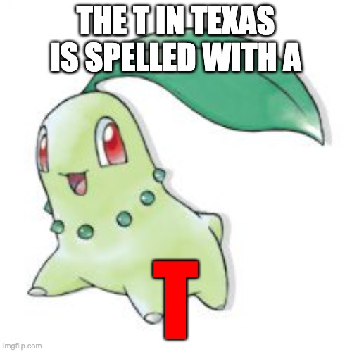 Chikorita | THE T IN TEXAS IS SPELLED WITH A T | image tagged in chikorita | made w/ Imgflip meme maker