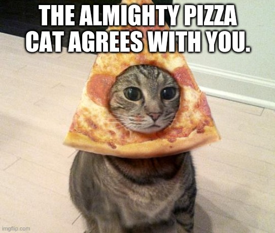 pizza cat | THE ALMIGHTY PIZZA CAT AGREES WITH YOU. | image tagged in pizza cat | made w/ Imgflip meme maker