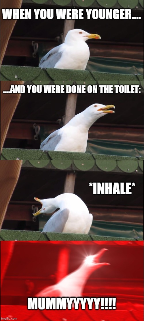 Inhaling Seagull Meme | WHEN YOU WERE YOUNGER.... ....AND YOU WERE DONE ON THE TOILET:; *INHALE*; MUMMYYYYY!!!! | image tagged in memes,inhaling seagull | made w/ Imgflip meme maker