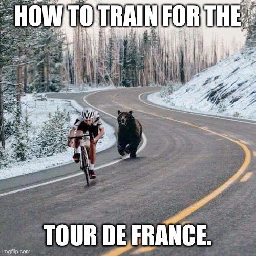 Bike Bear | HOW TO TRAIN FOR THE; TOUR DE FRANCE. | image tagged in bike bear | made w/ Imgflip meme maker