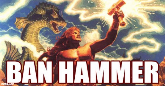 Ban hammer | image tagged in ban hammer | made w/ Imgflip meme maker