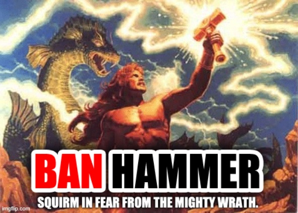 Banhammer! | image tagged in ban hammer squirm in fear,ban,hammer,banned,new template,imgflip mods | made w/ Imgflip meme maker