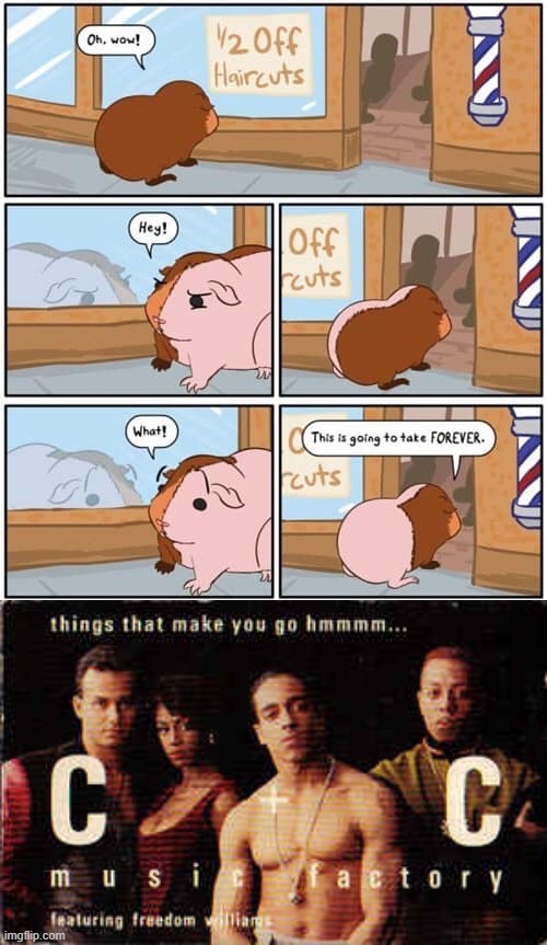 image tagged in 1/2 off haircuts,things that make you go hmmm | made w/ Imgflip meme maker