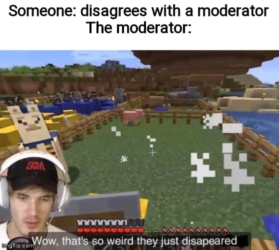 Wow that's so weird they just disappeared | Someone: disagrees with a moderator
The moderator: | image tagged in wow that's so weird they just disappeared | made w/ Imgflip meme maker