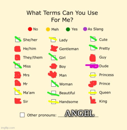 Pronouns Sheet | ANGEL | image tagged in pronouns sheet | made w/ Imgflip meme maker