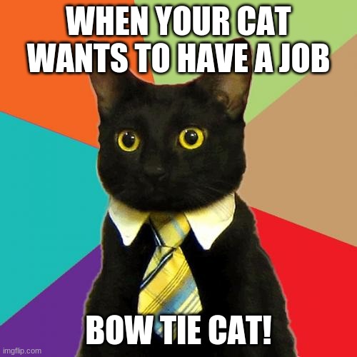 Business Cat | WHEN YOUR CAT WANTS TO HAVE A JOB; BOW TIE CAT! | image tagged in memes,business cat | made w/ Imgflip meme maker