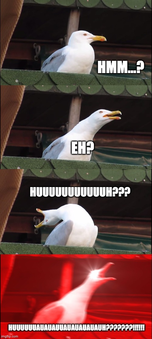 Inhaling Seagull | HMM...? EH? HUUUUUUUUUUUH??? HUUUUUUAUAUAUUAUAUAUAUAUH???????!!!!!! | image tagged in memes,inhaling seagull | made w/ Imgflip meme maker