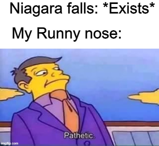 p a t h e t i c | Niagara falls: *Exists*; My Runny nose: | image tagged in skinner pathetic | made w/ Imgflip meme maker