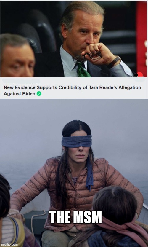 me2 = meh | THE MSM | image tagged in memes,bird box | made w/ Imgflip meme maker