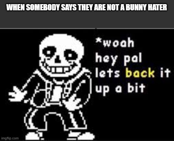 woah hey pal lets back it up a bit | WHEN SOMEBODY SAYS THEY ARE NOT A BUNNY HATER | image tagged in woah hey pal lets back it up a bit | made w/ Imgflip meme maker