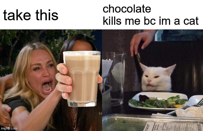choccy milk |  take this; chocolate kills me bc im a cat | image tagged in memes,woman yelling at cat | made w/ Imgflip meme maker