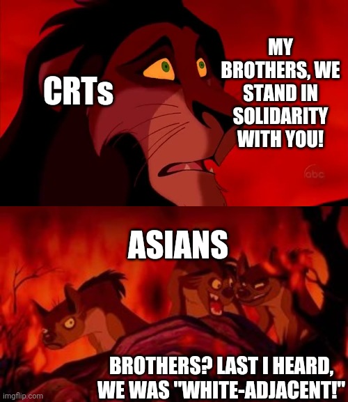 Looks like it's too little, too late, Critical Race (Conspiracy) Theorists! | MY BROTHERS, WE STAND IN SOLIDARITY WITH YOU! CRTs; ASIANS; BROTHERS? LAST I HEARD, WE WAS "WHITE-ADJACENT!" | image tagged in hypocritical,asians,racism,crt,woke,blue anon | made w/ Imgflip meme maker