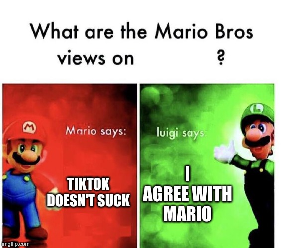 Mario Bros Views | TIKTOK DOESN'T SUCK I AGREE WITH MARIO | image tagged in mario bros views | made w/ Imgflip meme maker