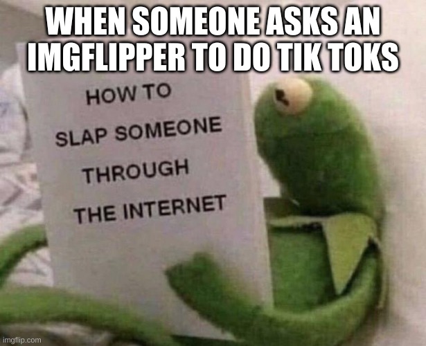 Kermit How to slap someone through the internet | WHEN SOMEONE ASKS AN IMGFLIPPER TO DO TIK TOKS | image tagged in kermit how to slap someone through the internet | made w/ Imgflip meme maker