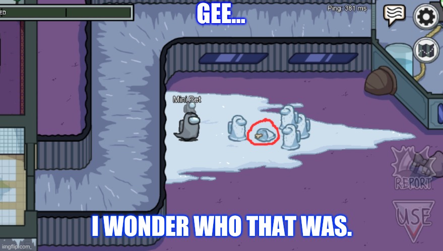 Gee... I wonder who that was... | GEE... I WONDER WHO THAT WAS. | image tagged in among us,lol | made w/ Imgflip meme maker