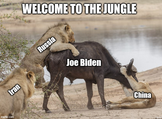 We're screwed | WELCOME TO THE JUNGLE; Russia; Joe Biden; Iran; China | image tagged in biden | made w/ Imgflip meme maker