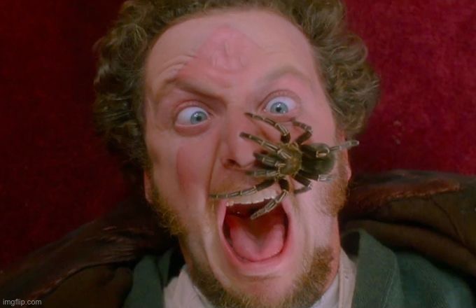 Home Alone Marv Spider | image tagged in home alone marv spider | made w/ Imgflip meme maker