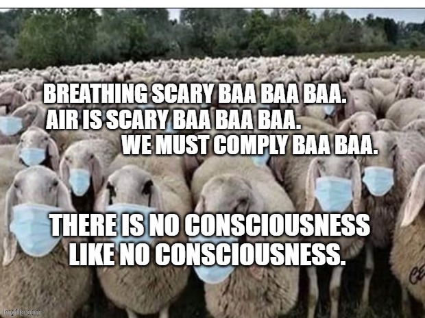 Sheeple | BREATHING SCARY BAA BAA BAA.      AIR IS SCARY BAA BAA BAA.                                      WE MUST COMPLY BAA BAA. THERE IS NO CONSCIOUSNESS LIKE NO CONSCIOUSNESS. | image tagged in sheeple | made w/ Imgflip meme maker