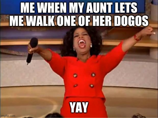 Oprah You Get A Meme | ME WHEN MY AUNT LETS ME WALK ONE OF HER DOGOS; YAY | image tagged in memes,oprah you get a | made w/ Imgflip meme maker