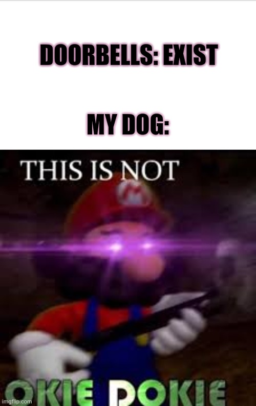Bork Bork Bork | DOORBELLS: EXIST; MY DOG: | image tagged in this is not okie dokie,dogs,doggo | made w/ Imgflip meme maker