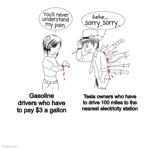 poor electric car owners | Tesla owners who have to drive 100 miles to the nearest electricity station; Gasoline drivers who have to pay $3 a gallon | image tagged in you ll never understand my pain,blank white template,funny,memes,cars,tesla | made w/ Imgflip meme maker