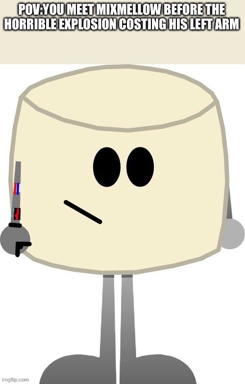 Mixie’s gonna be in a situation. | POV:YOU MEET MIXMELLOW BEFORE THE HORRIBLE EXPLOSION COSTING HIS LEFT ARM | made w/ Imgflip meme maker