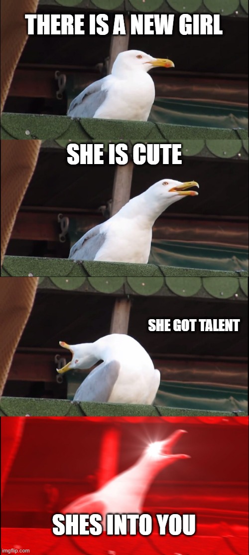 Inhaling Seagull Meme | THERE IS A NEW GIRL; SHE IS CUTE; SHE GOT TALENT; SHES INTO YOU | image tagged in memes,inhaling seagull | made w/ Imgflip meme maker