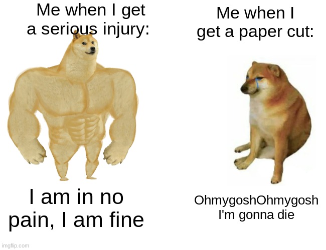Buff Doge vs. Cheems Meme | Me when I get a serious injury:; Me when I get a paper cut:; I am in no pain, I am fine; OhmygoshOhmygosh I'm gonna die | image tagged in memes,buff doge vs cheems | made w/ Imgflip meme maker