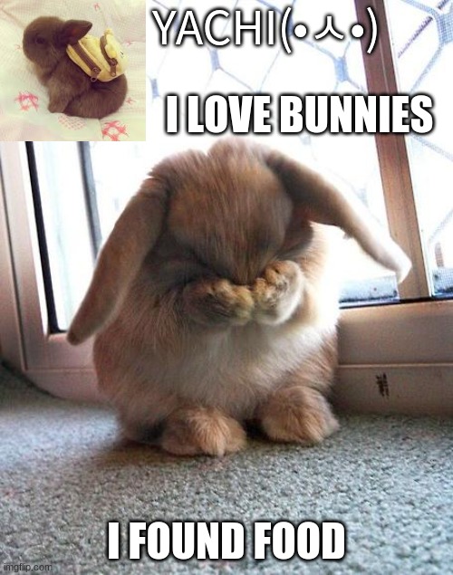 Yachi's bunny temp | I FOUND FOOD | image tagged in yachi's bunny temp | made w/ Imgflip meme maker